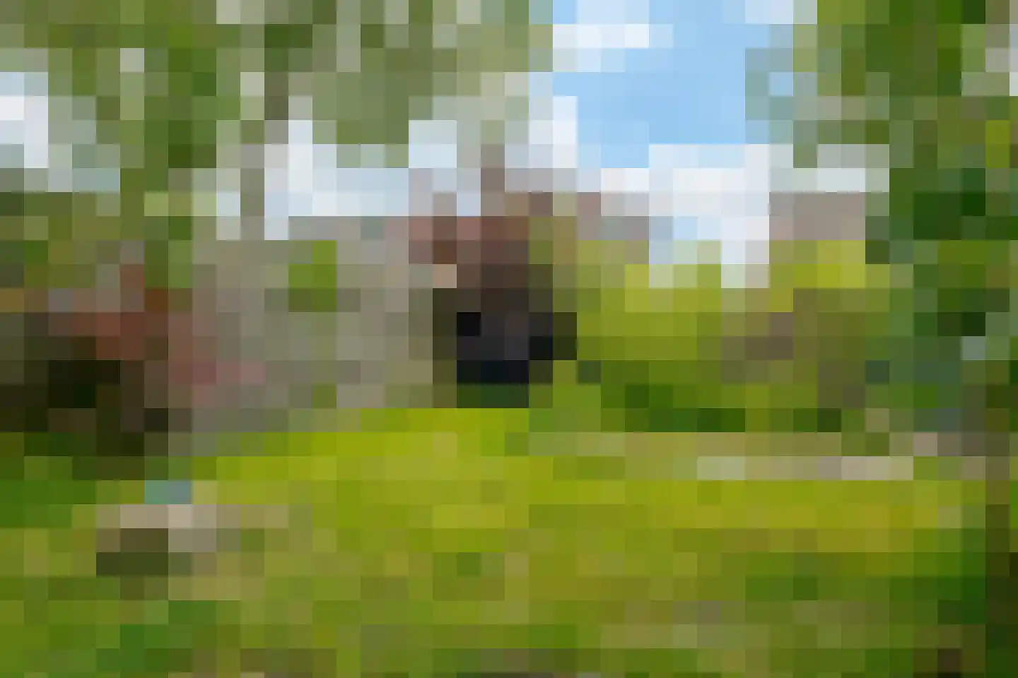 Rembrandtstraat 4 Nietap thumbnail 33