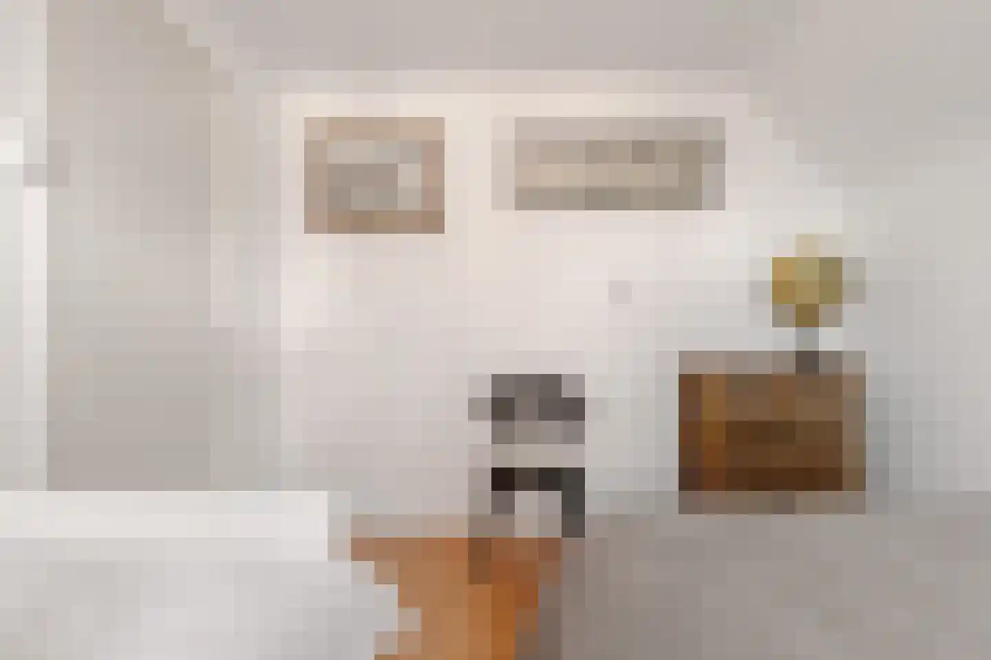 Rembrandtstraat 4 Nietap thumbnail 41