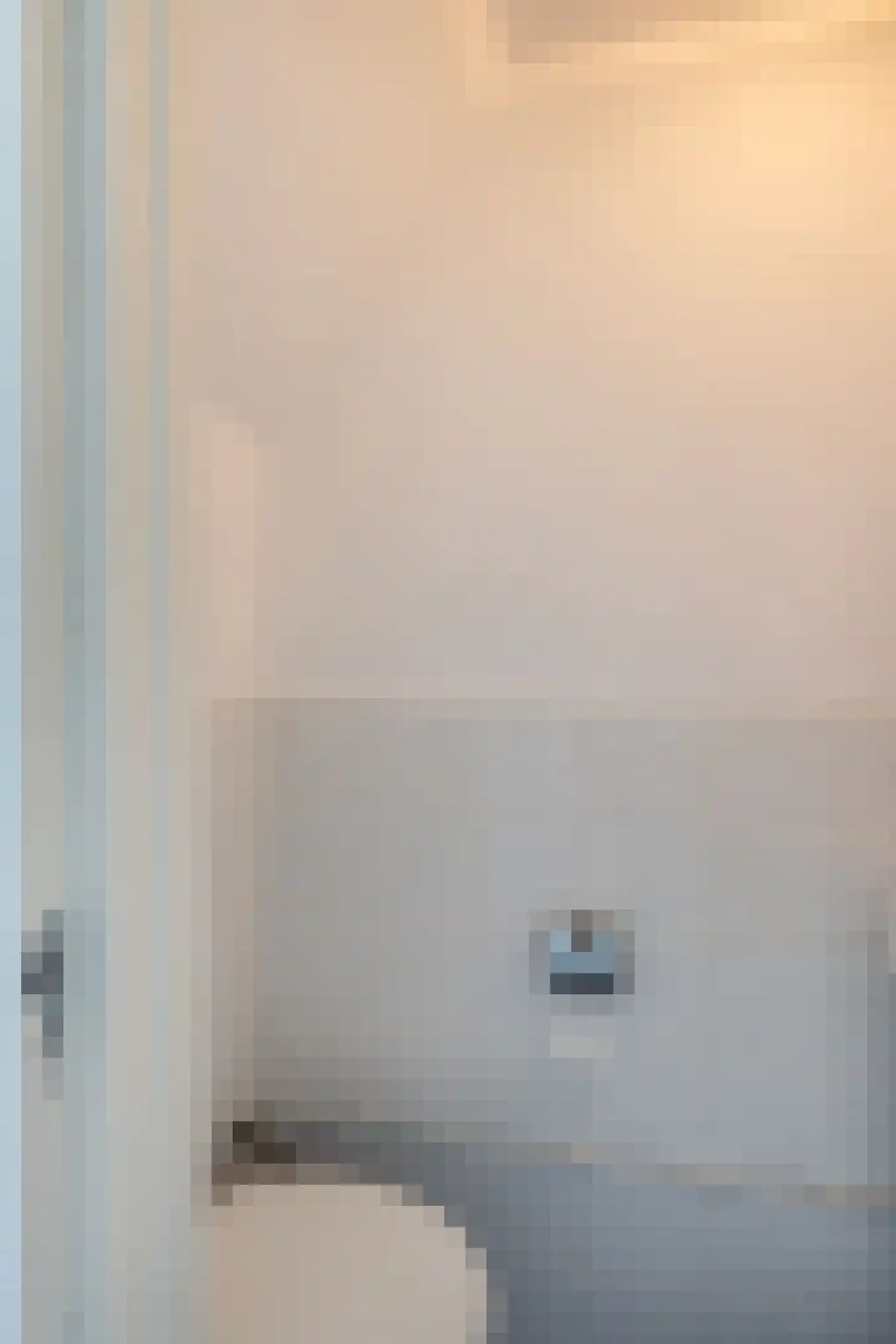 Rembrandtstraat 4 Vlaardingen thumbnail 10