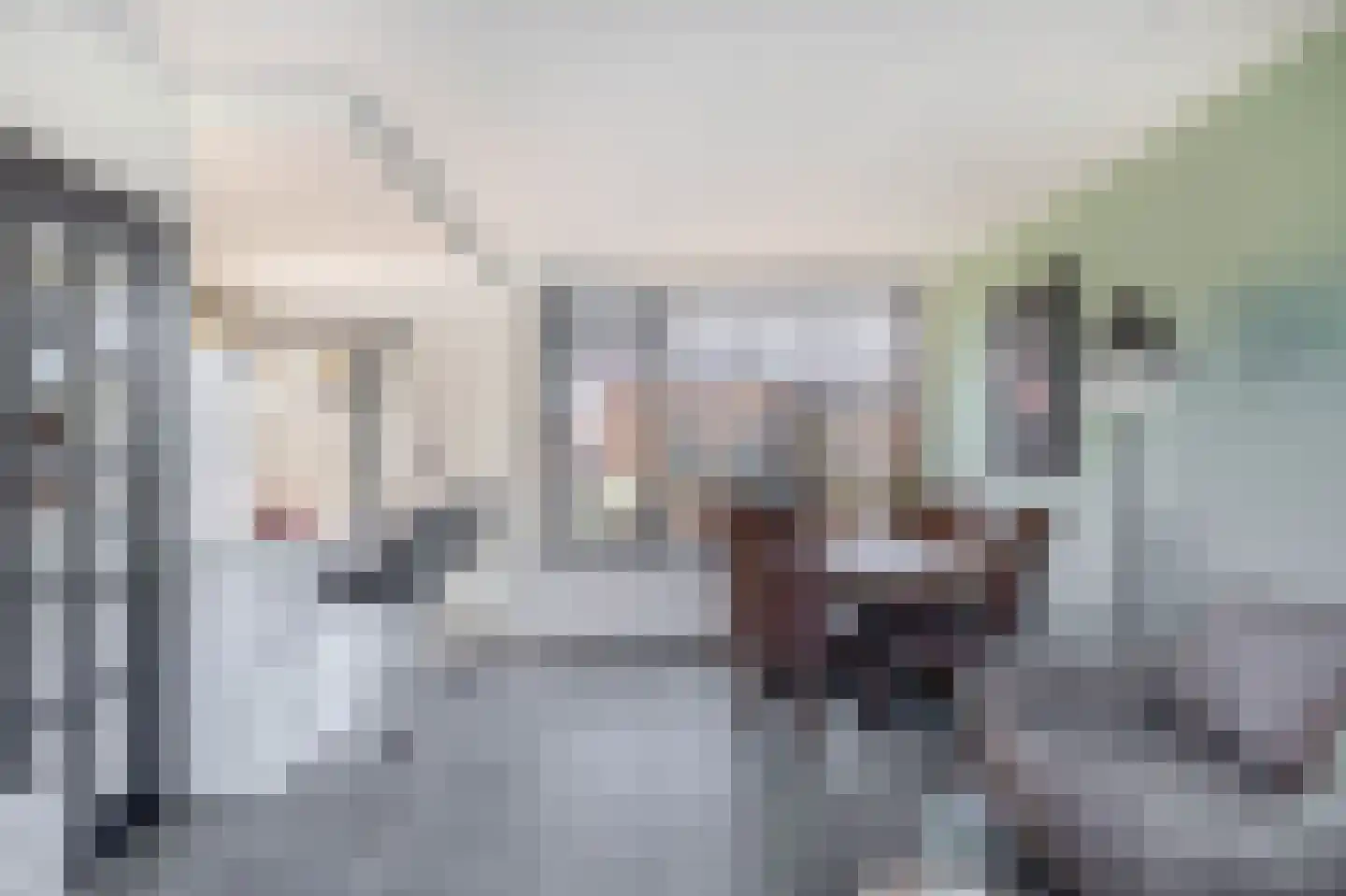 Rembrandtstraat 4 Zoetermeer thumbnail 13