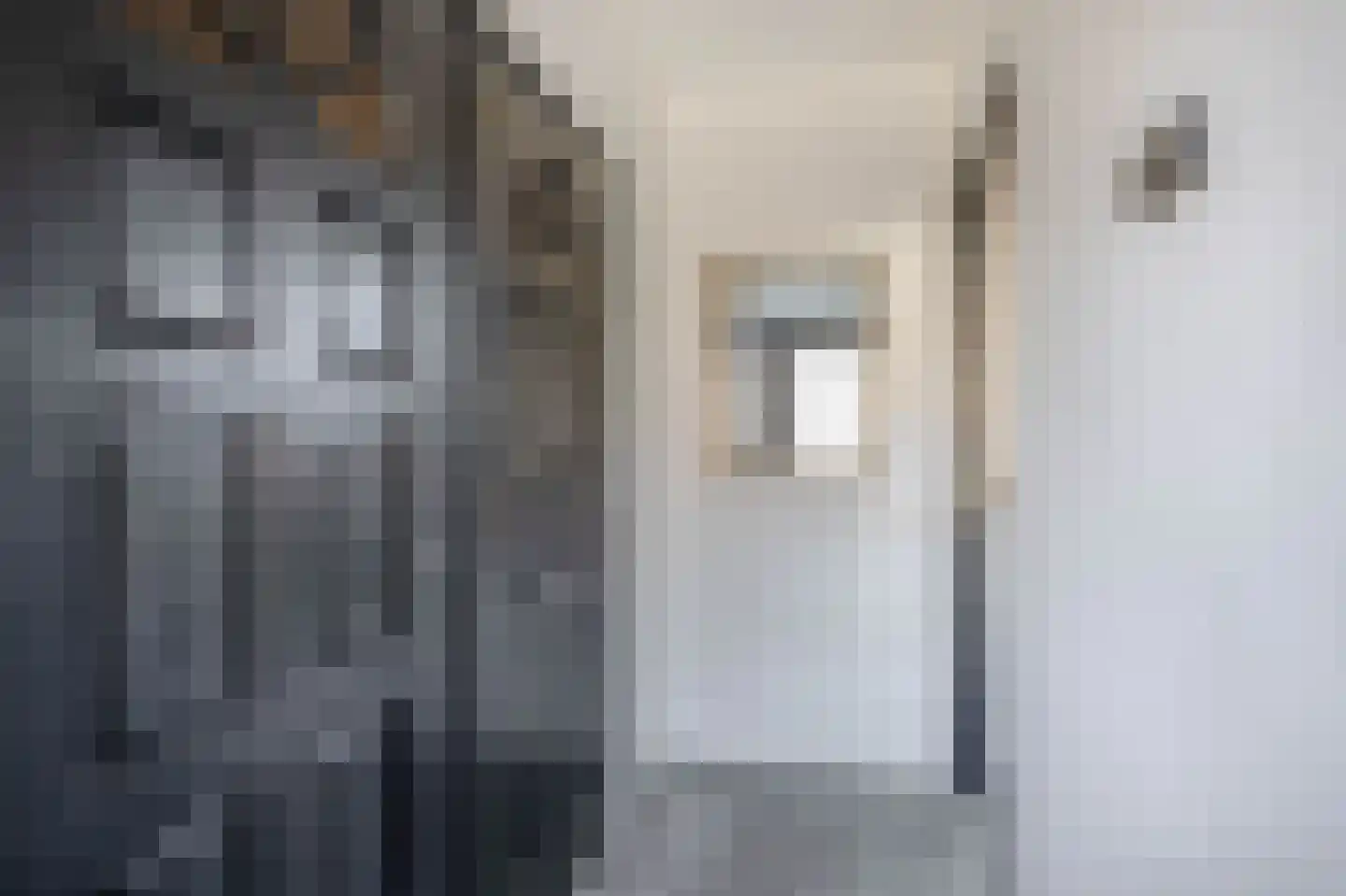 Rembrandtstraat 4 Zoetermeer thumbnail 9
