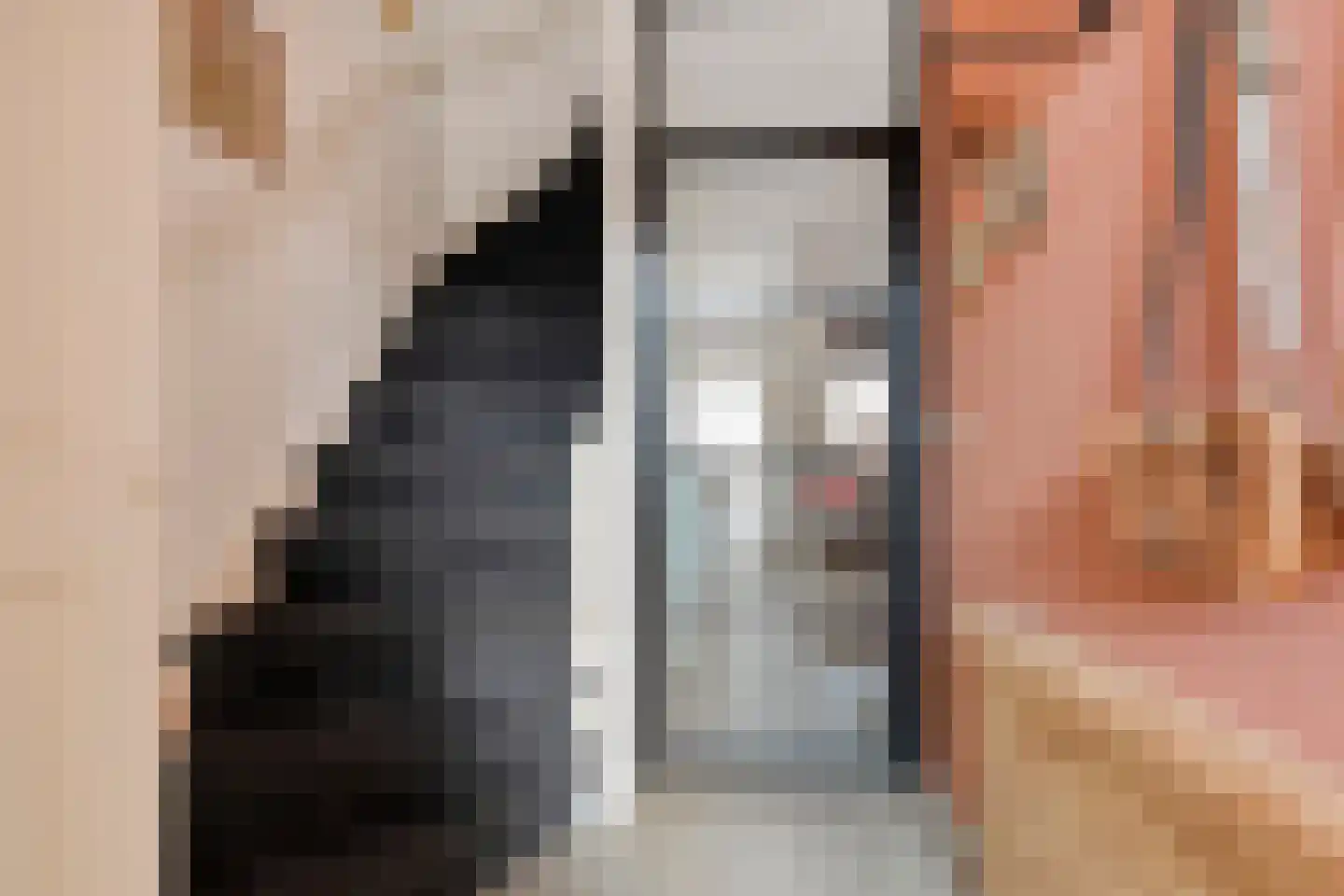 Rembrandtstraat 40 Ommen thumbnail 11