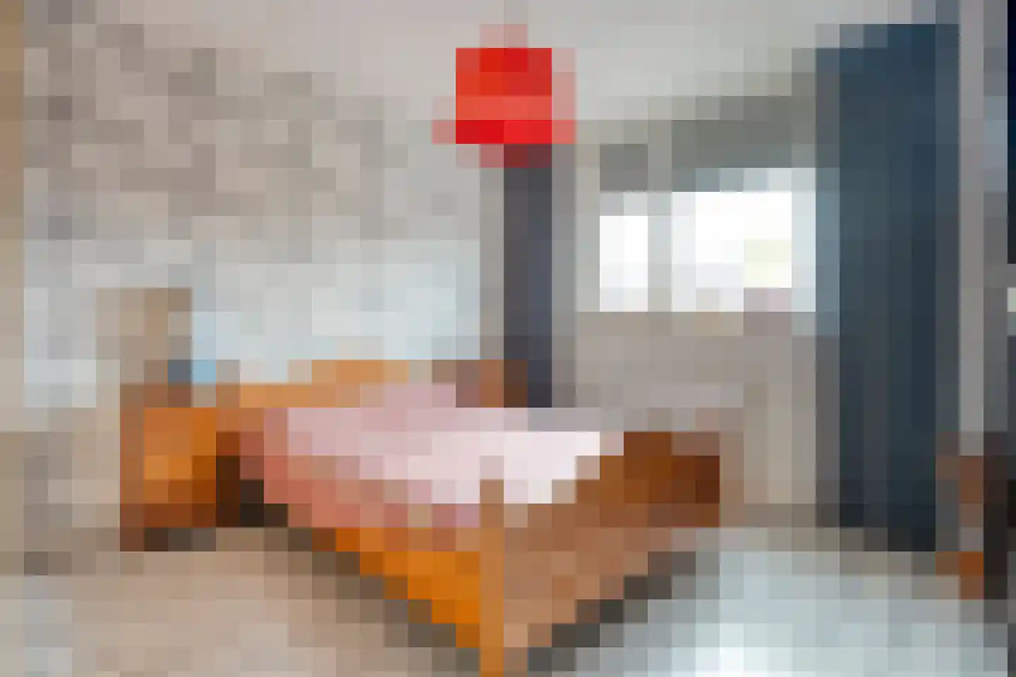 Rembrandtstraat 40 Ommen thumbnail 33
