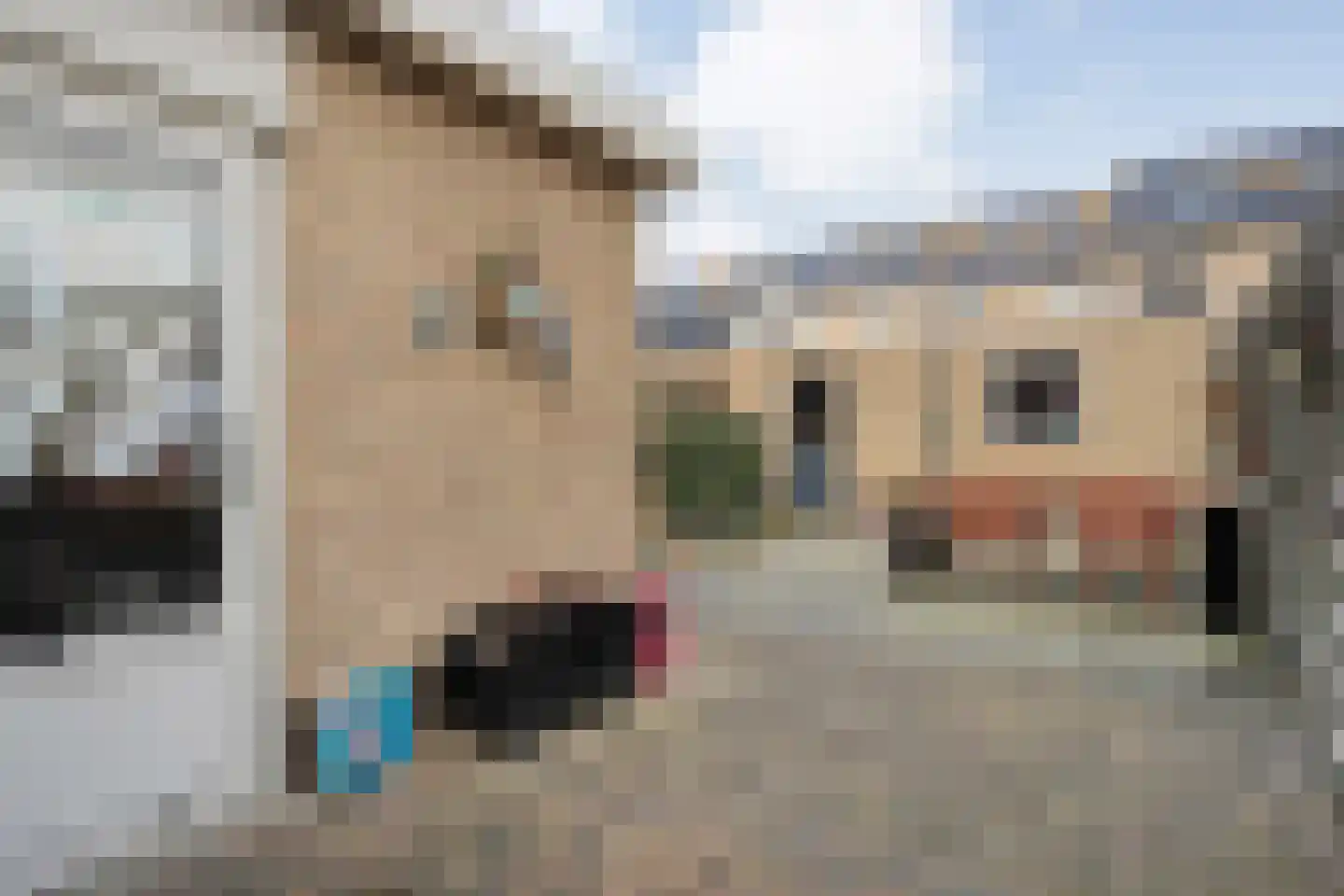 Rembrandtstraat 40 Ommen thumbnail 42