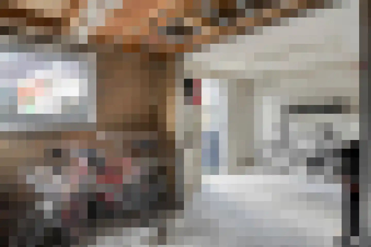 Rembrandtstraat 40 Ommen thumbnail 48