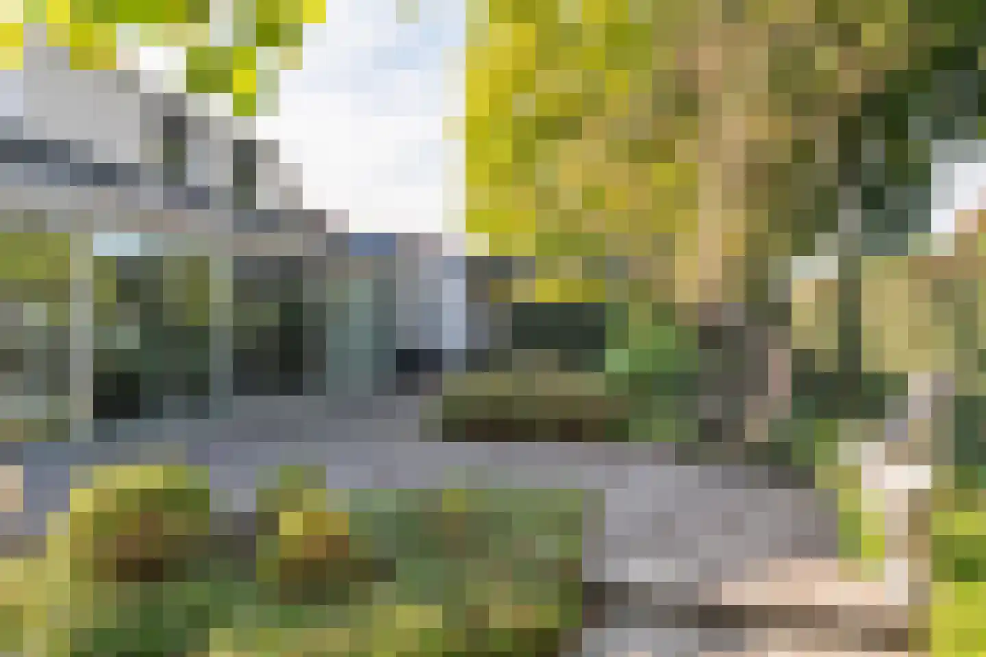 Rembrandtstraat 40 Tiel thumbnail 11