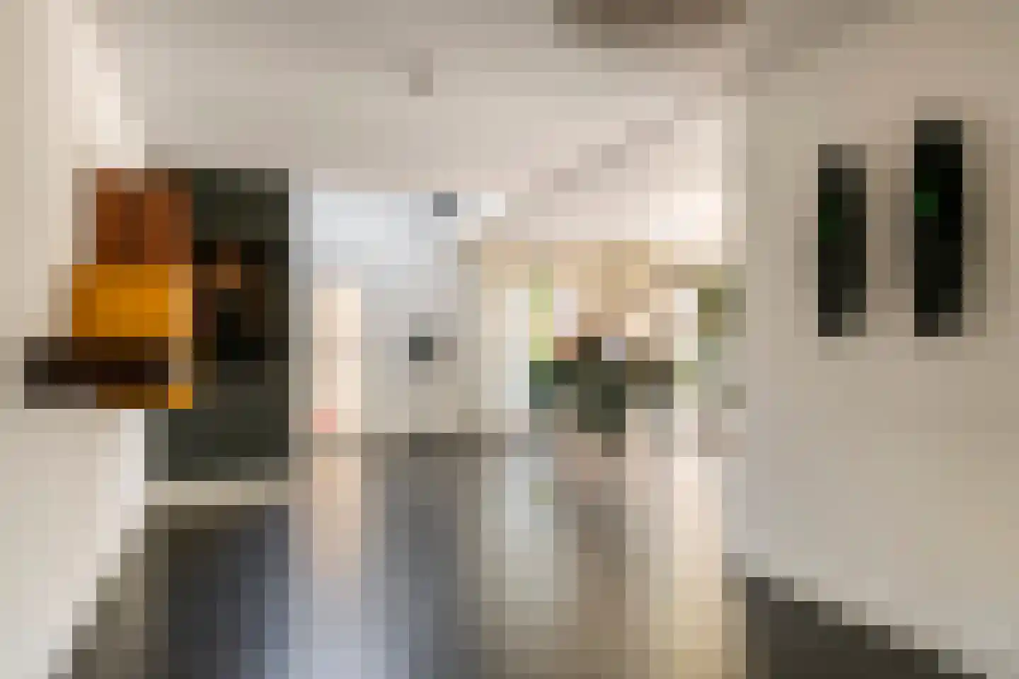 Rembrandtstraat 40 Tiel thumbnail 20