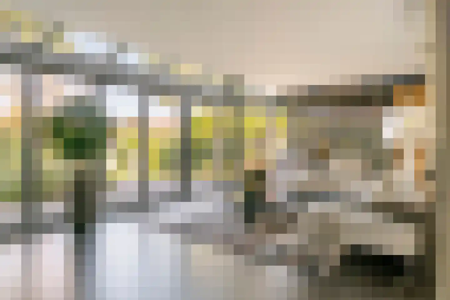 Rembrandtstraat 40 Tiel thumbnail 38