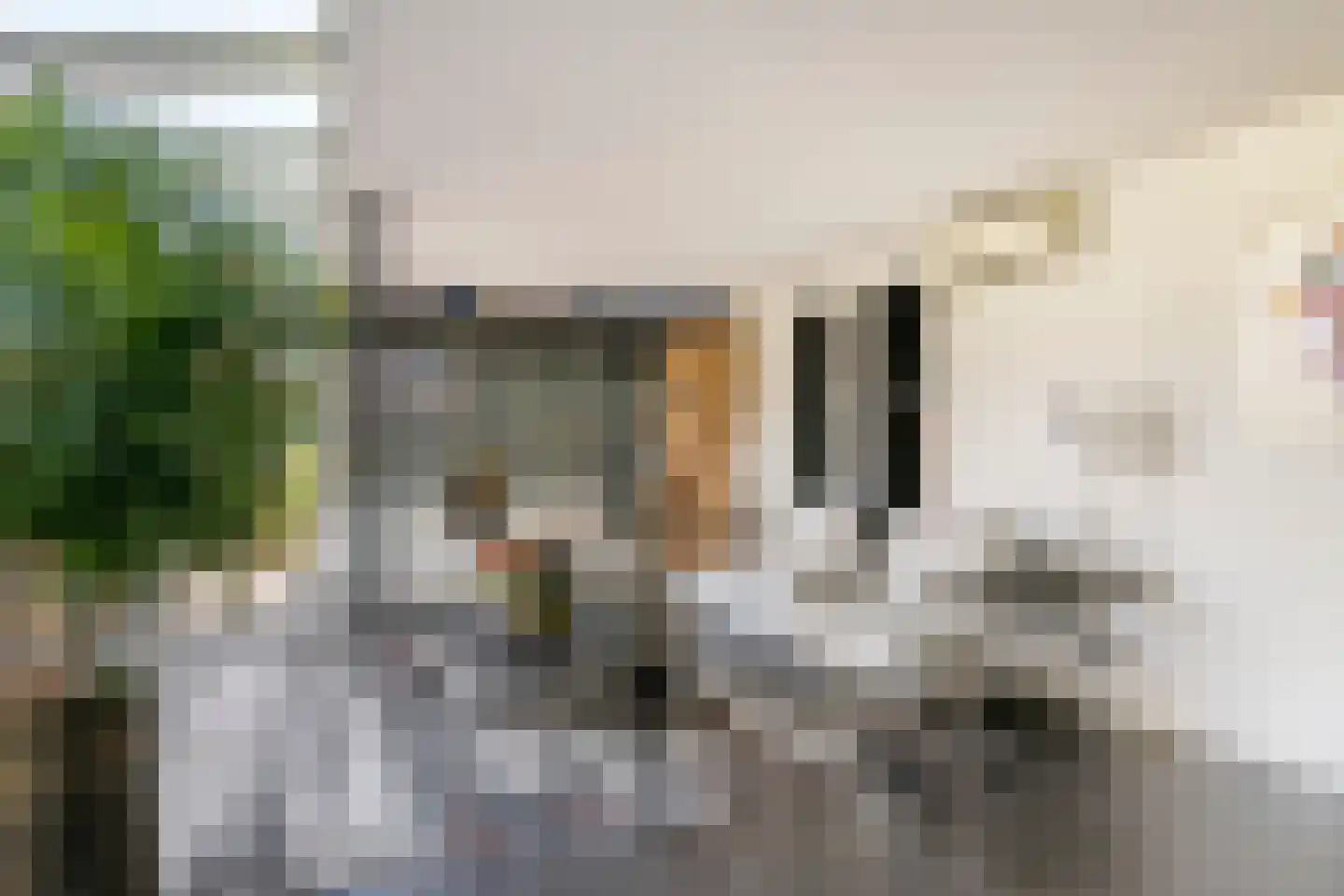 Rembrandtstraat 40 Tiel thumbnail 39