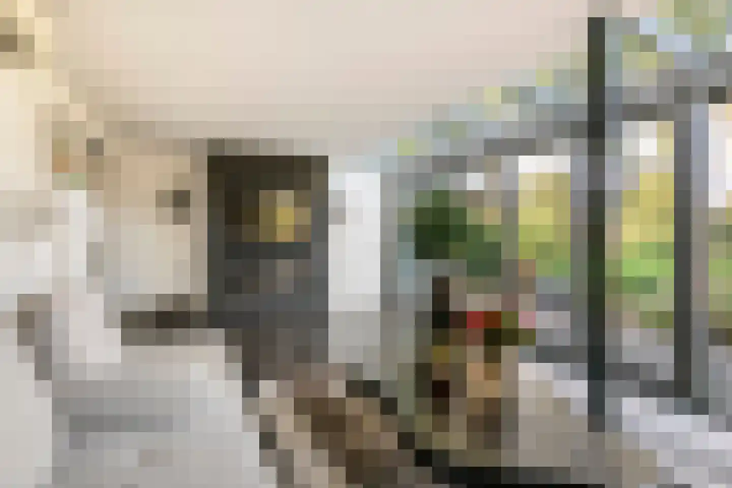 Rembrandtstraat 40 Tiel thumbnail 41