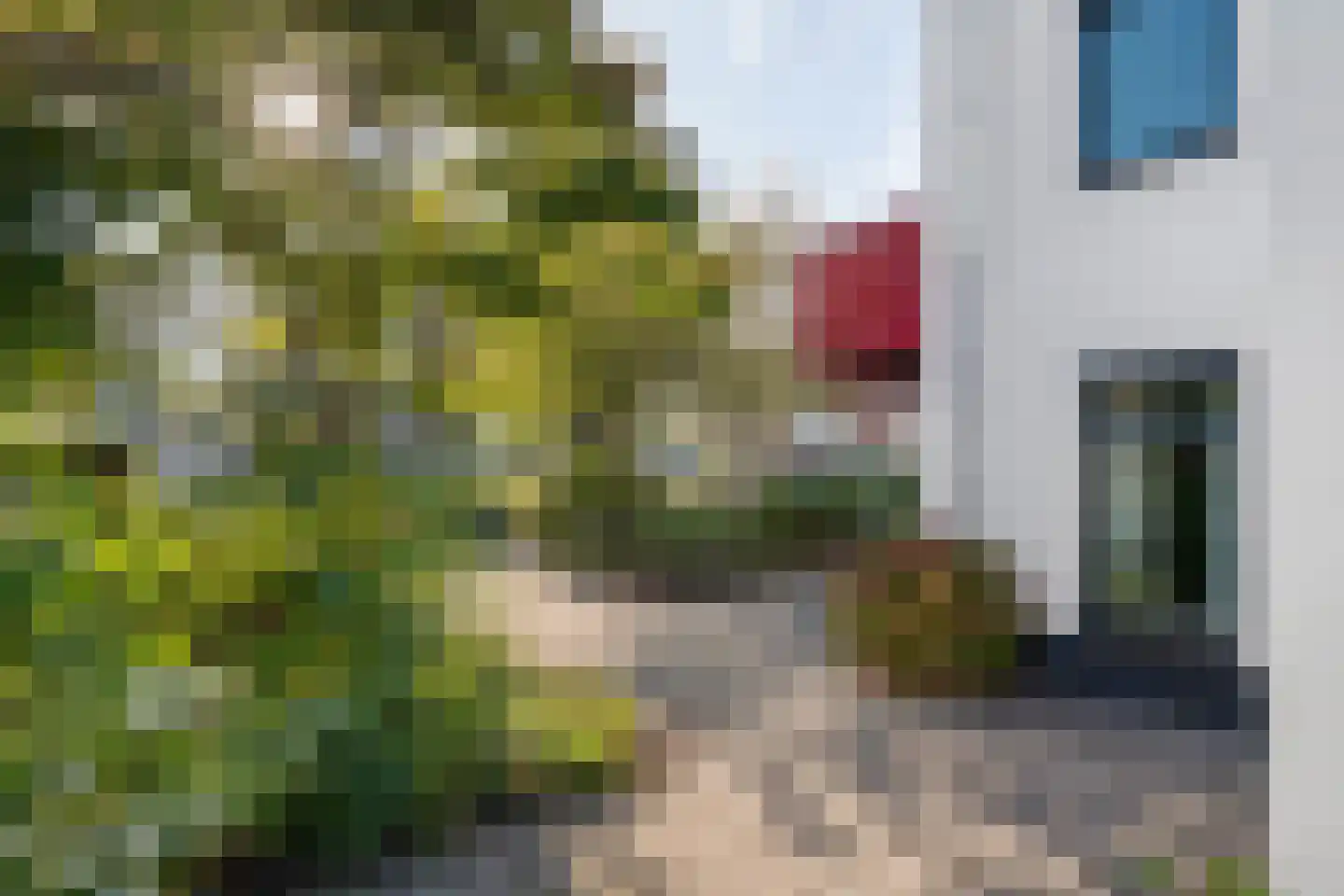 Rembrandtstraat 40 Tiel thumbnail 47