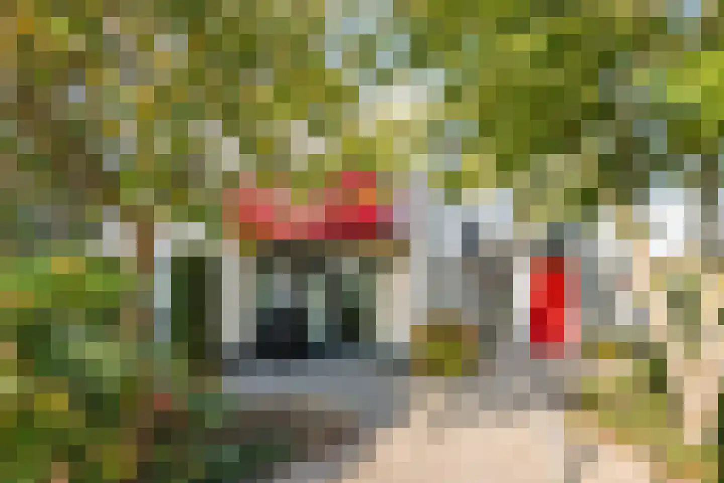 Rembrandtstraat 40 Tiel thumbnail 48