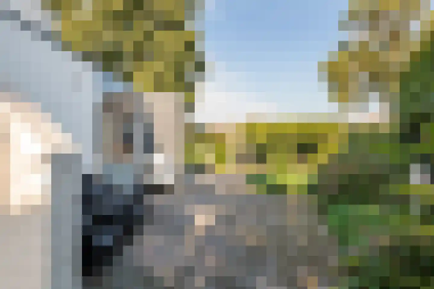 Rembrandtstraat 40 Tiel thumbnail 49