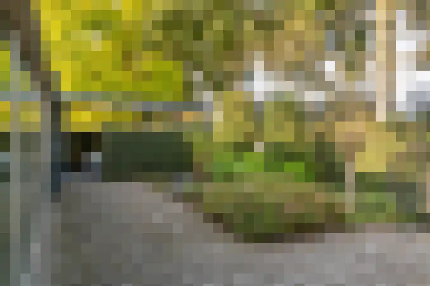 Rembrandtstraat 40 Tiel thumbnail 52