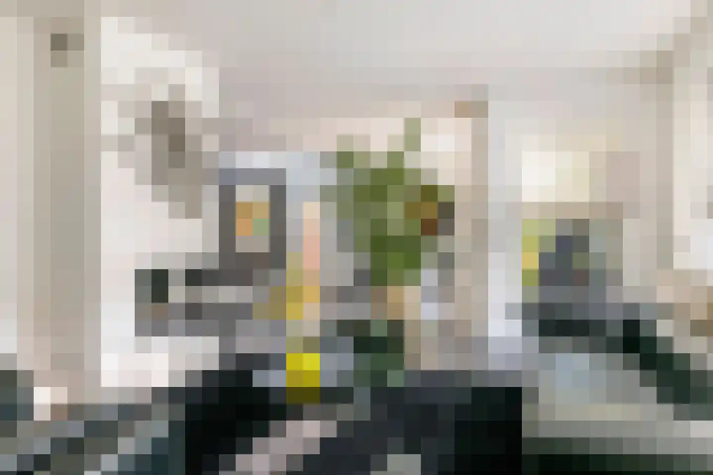 Rembrandtstraat 40 Tiel thumbnail 6