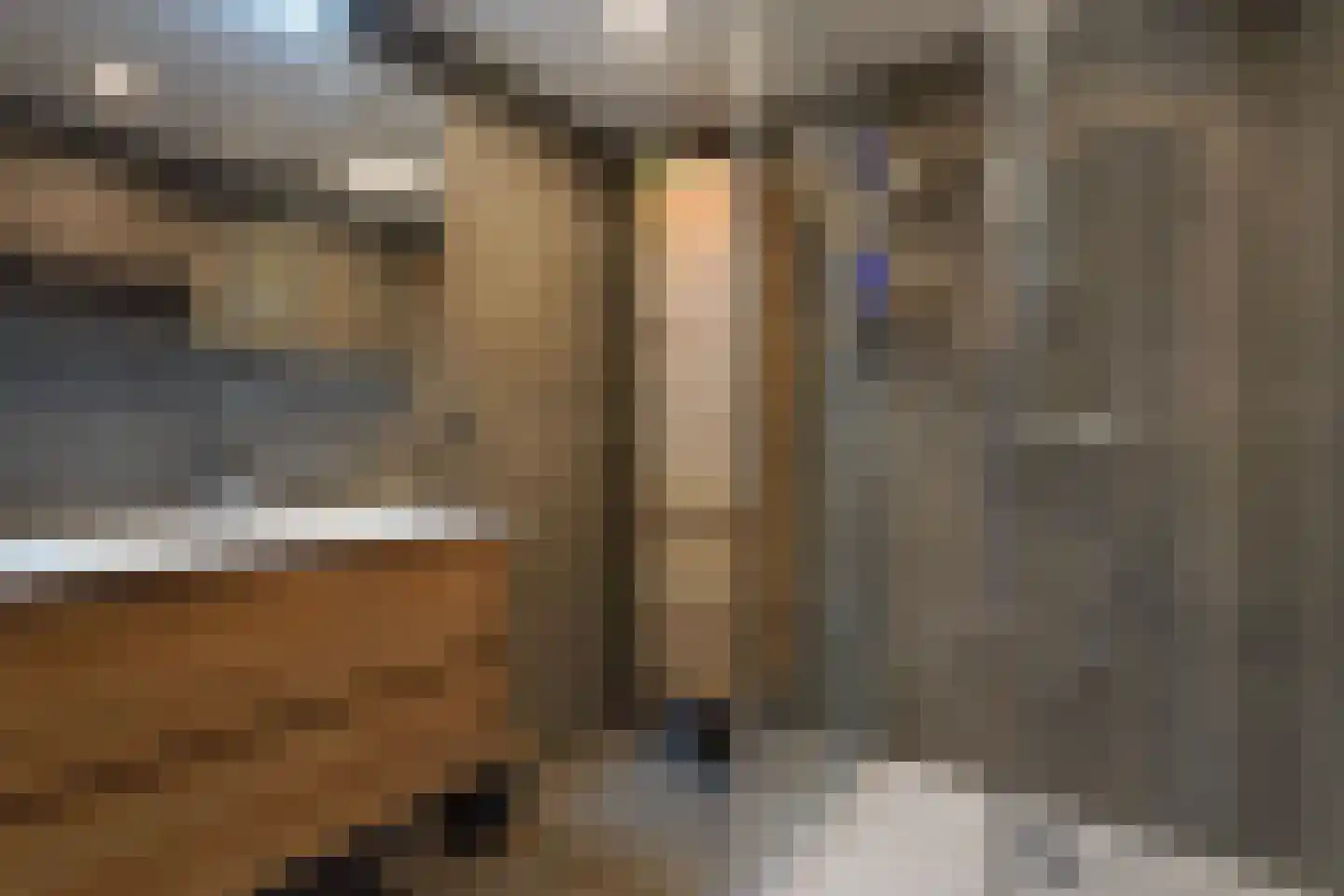 Rembrandtstraat 42 Zoetermeer thumbnail 32