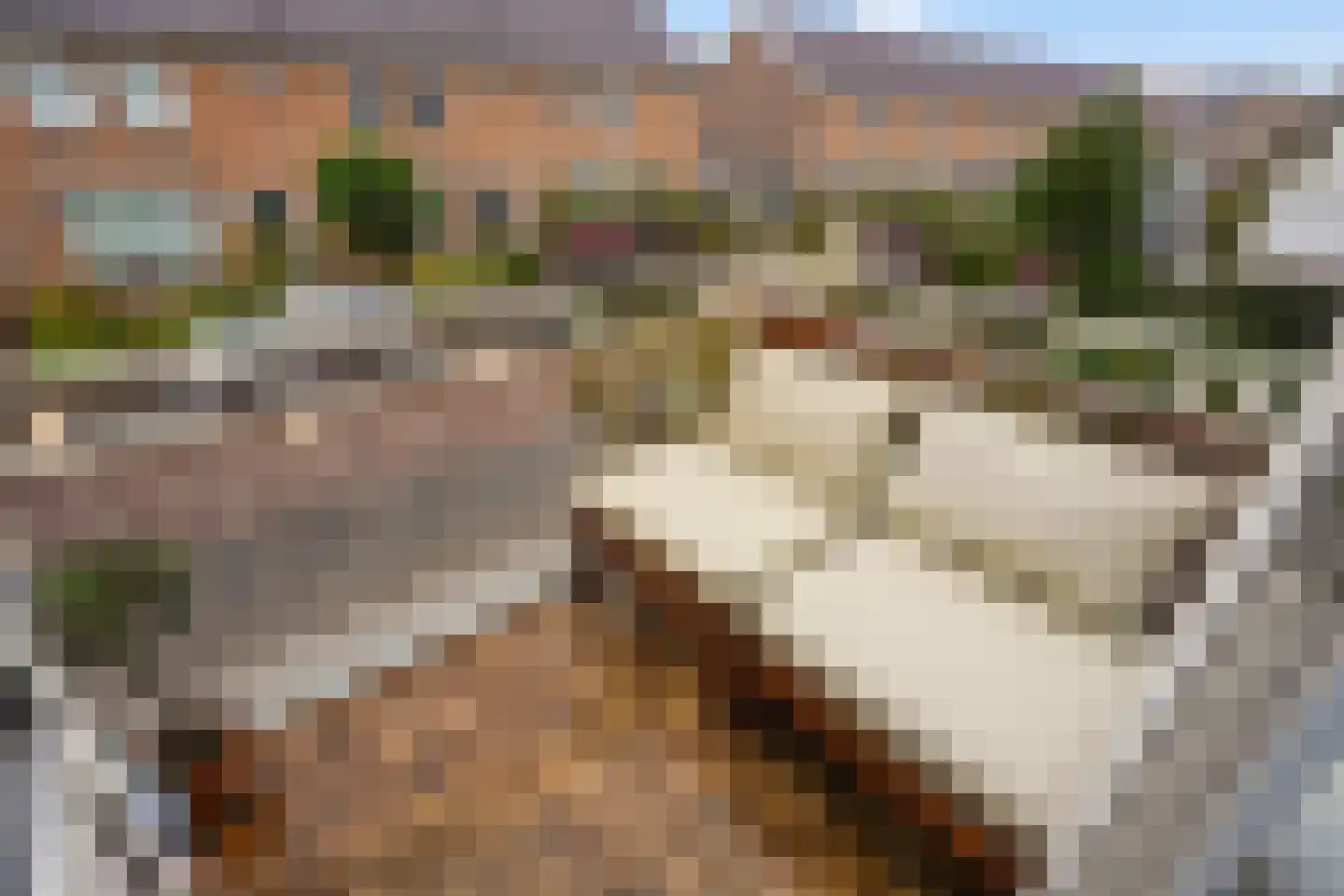Rembrandtstraat 42 Zoetermeer thumbnail 6