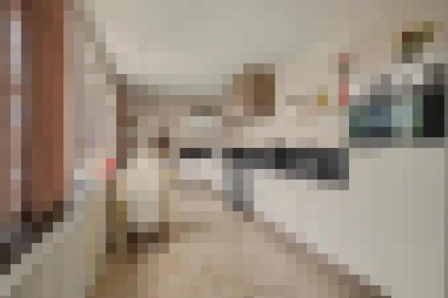 Rembrandtstraat 44 Vlijmen thumbnail 11
