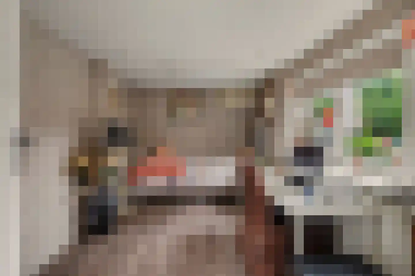 Rembrandtstraat 44 Vlijmen thumbnail 17