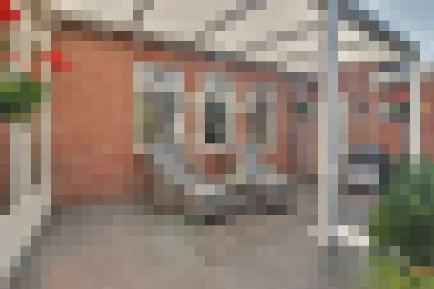 Rembrandtstraat 44 Vlijmen thumbnail 33