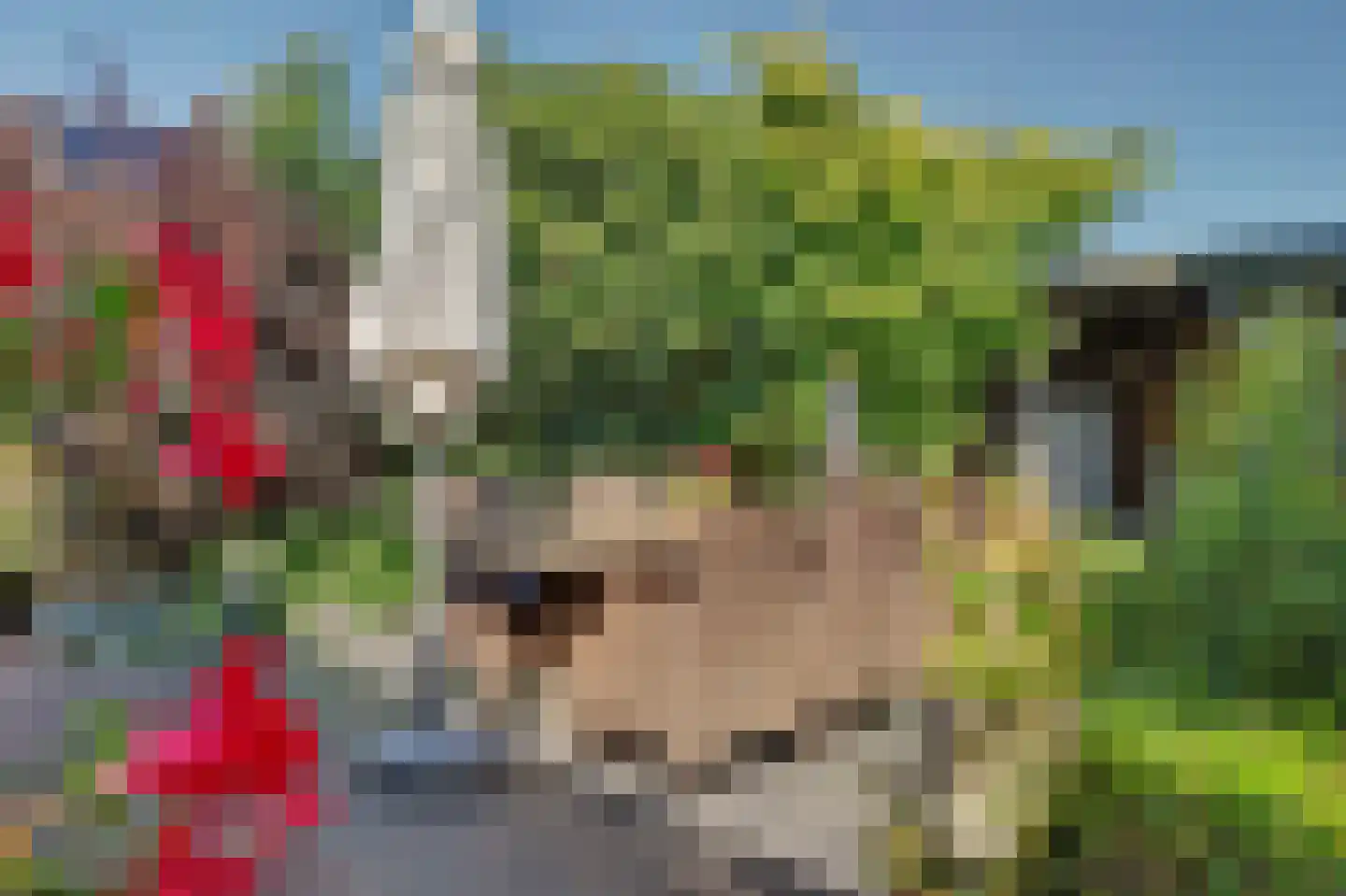 Rembrandtstraat 44 Vlijmen thumbnail 36