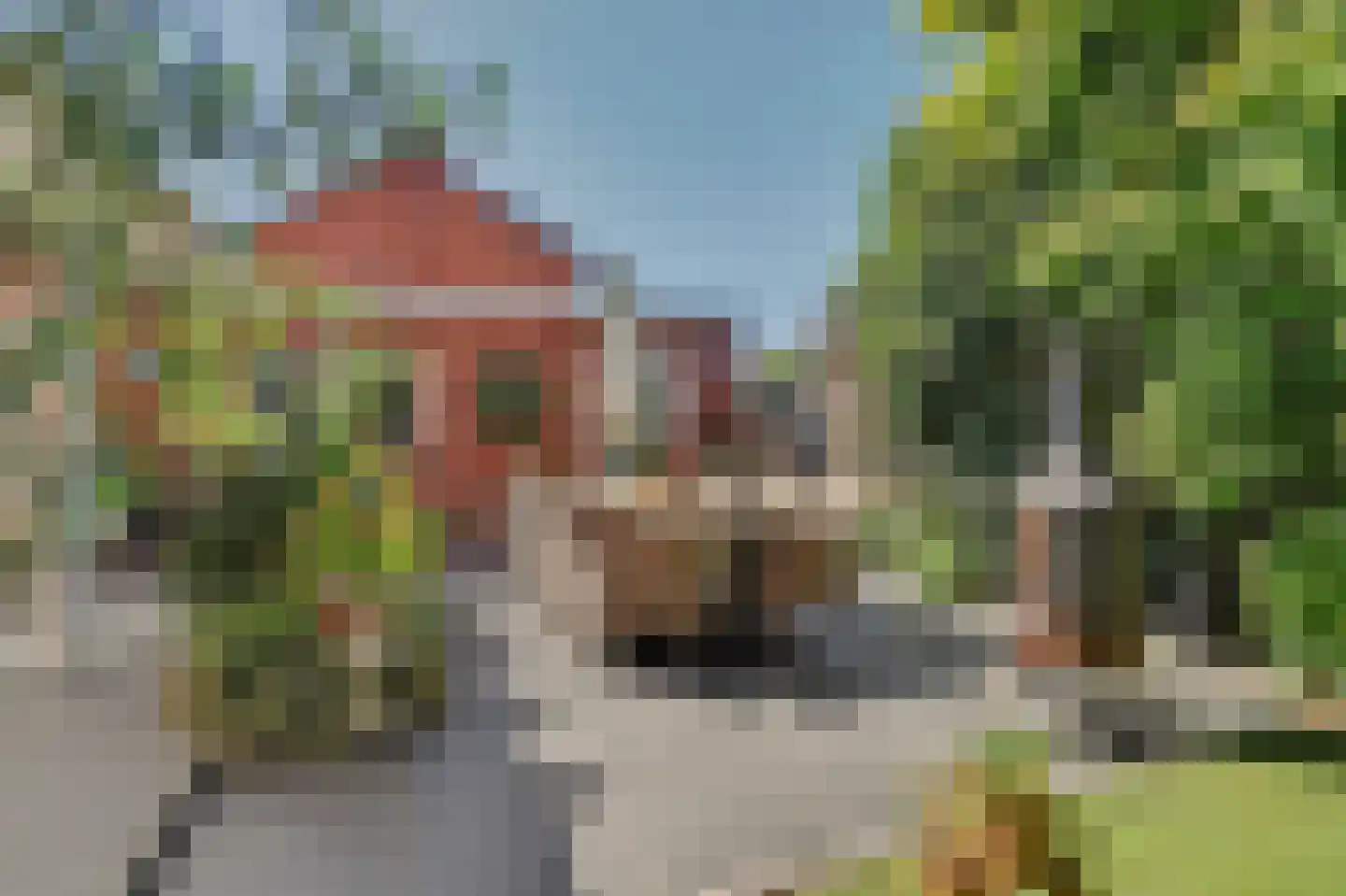 Rembrandtstraat 44 Vlijmen thumbnail 37
