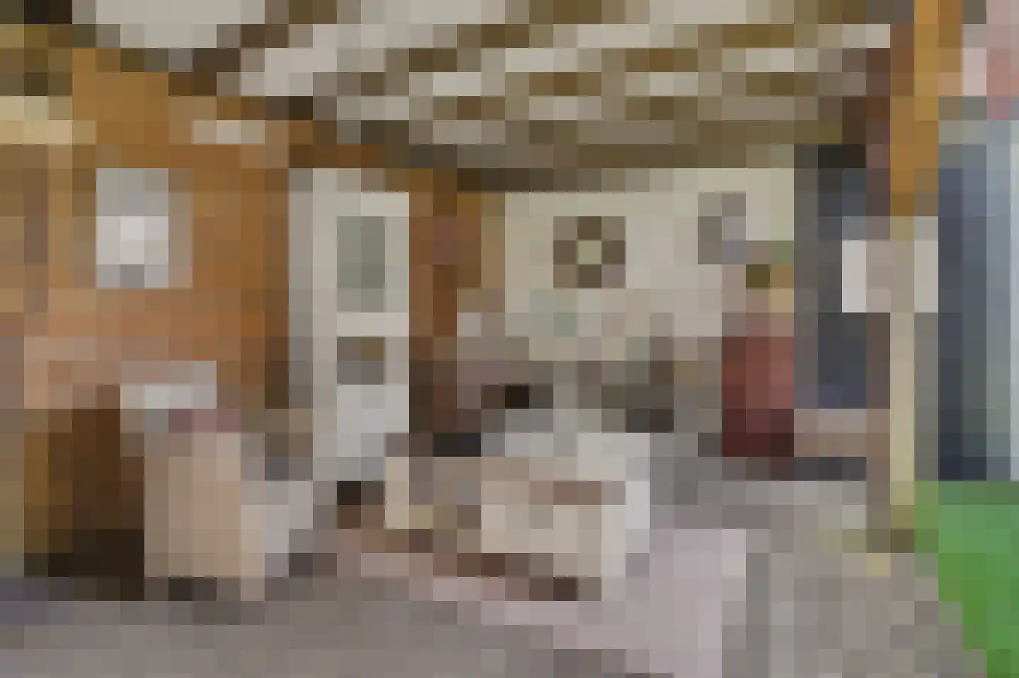 Rembrandtstraat 44 Vlijmen thumbnail 39