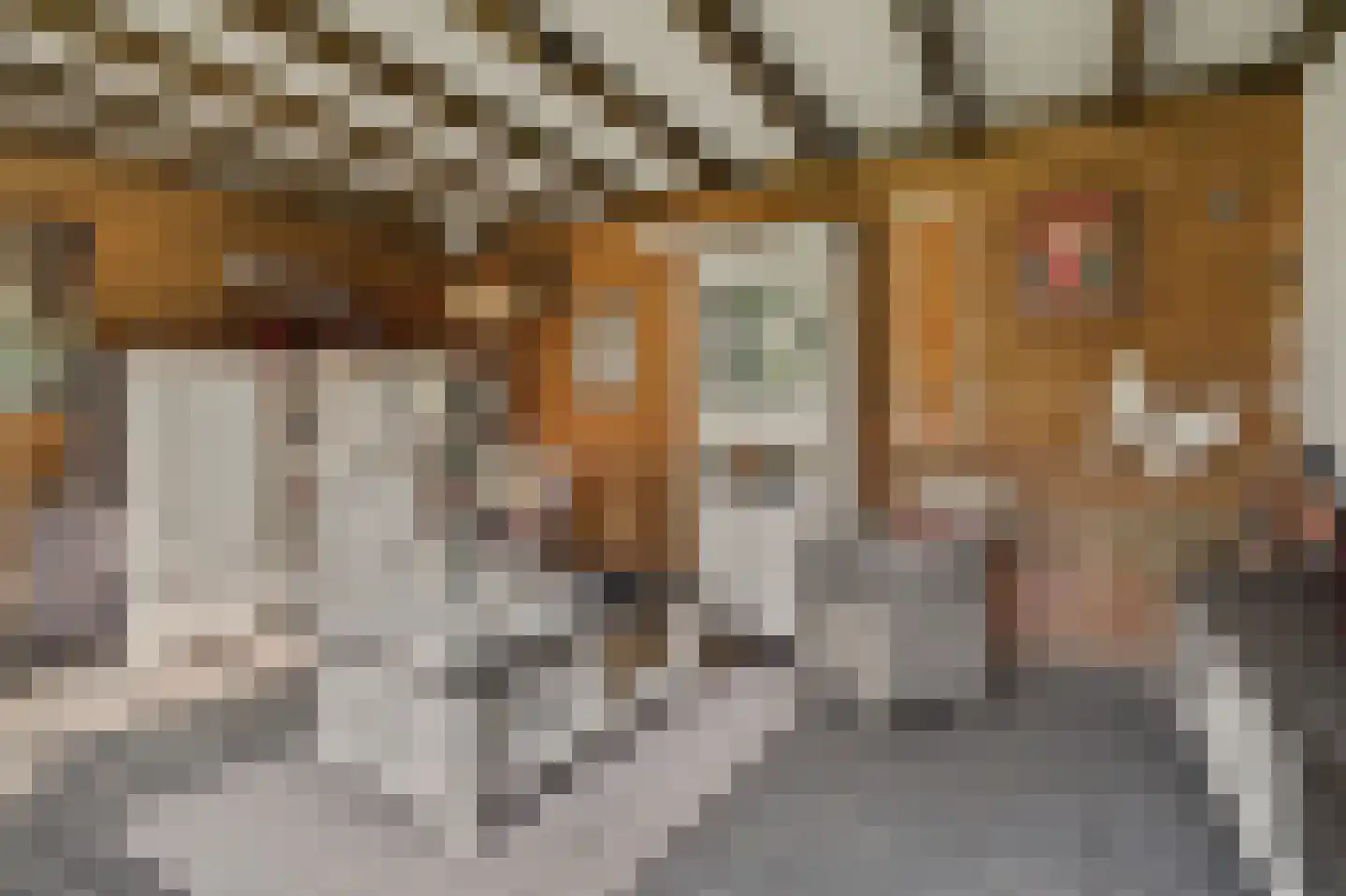Rembrandtstraat 44 Vlijmen thumbnail 40