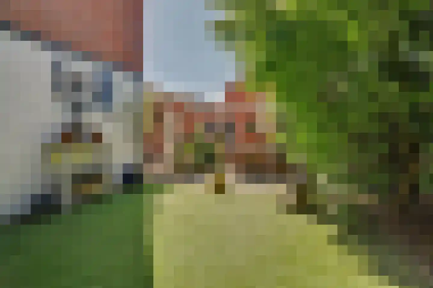 Rembrandtstraat 44 Vlijmen thumbnail 41