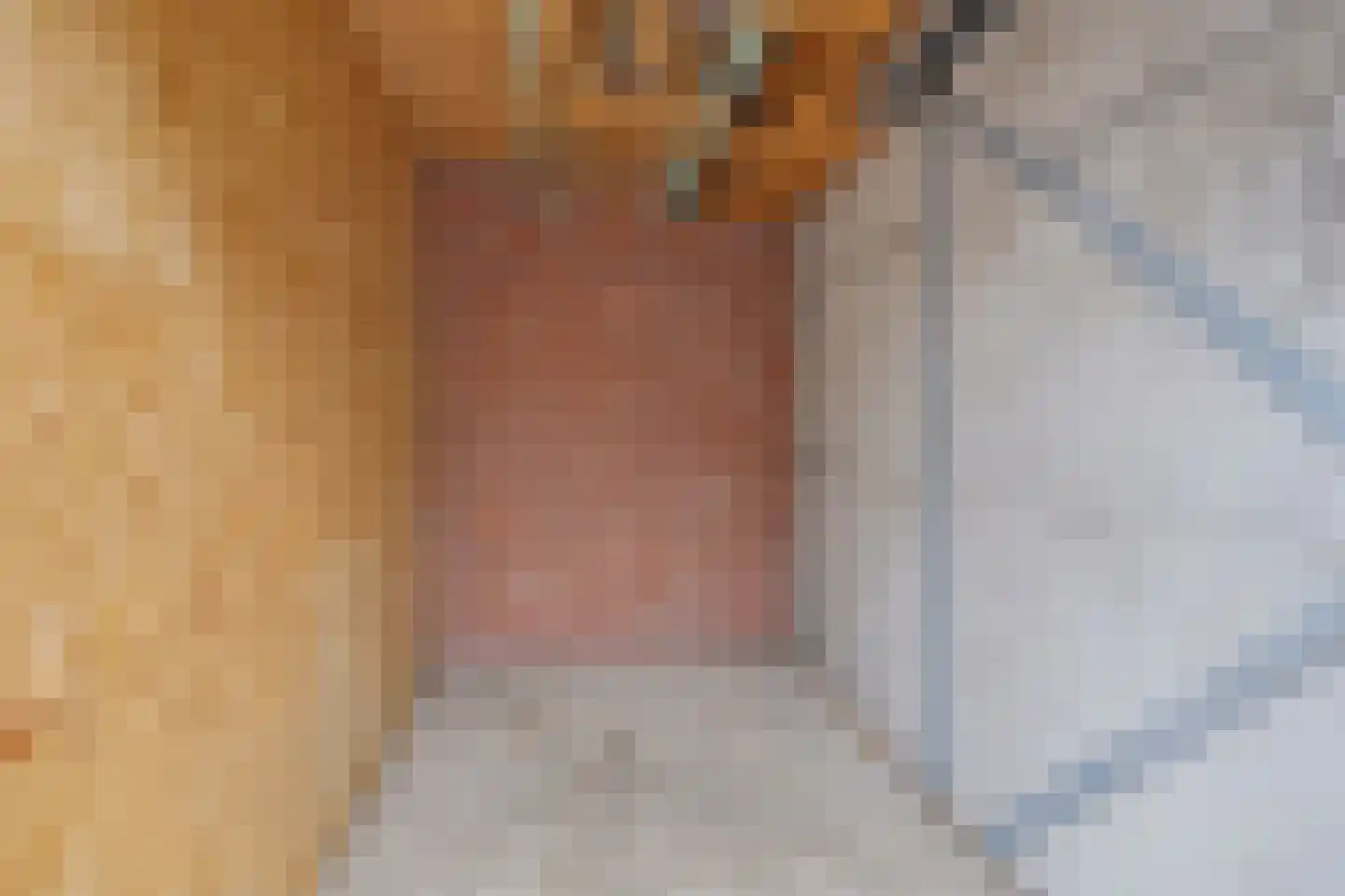 Rembrandtstraat 44 Vlijmen thumbnail 43