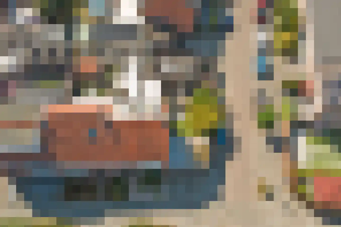 Rembrandtstraat 44 Vlijmen thumbnail 47
