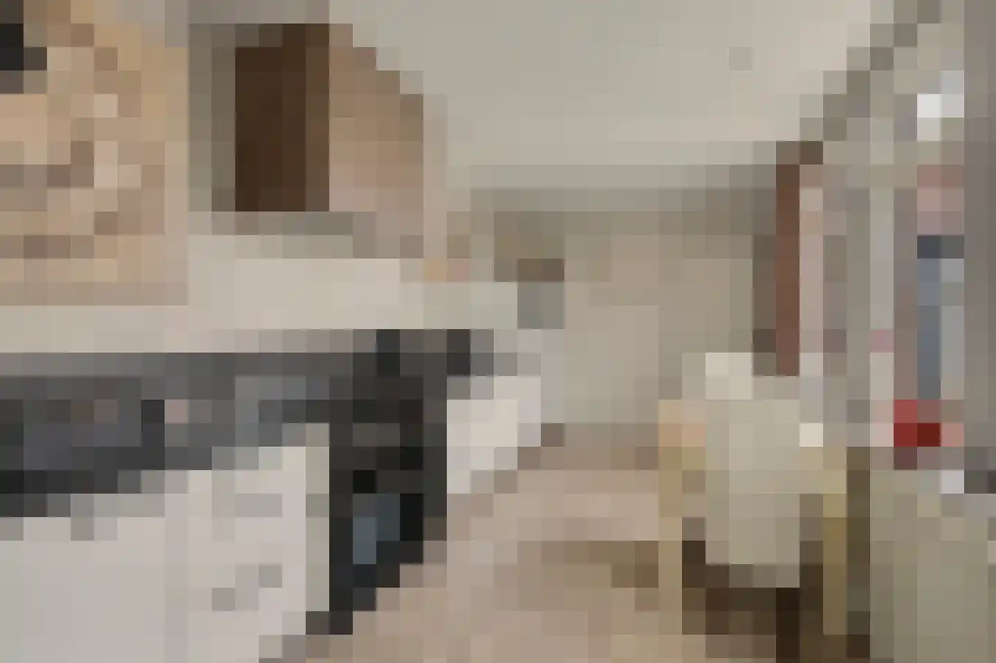 Rembrandtstraat 44 Vlijmen thumbnail 9