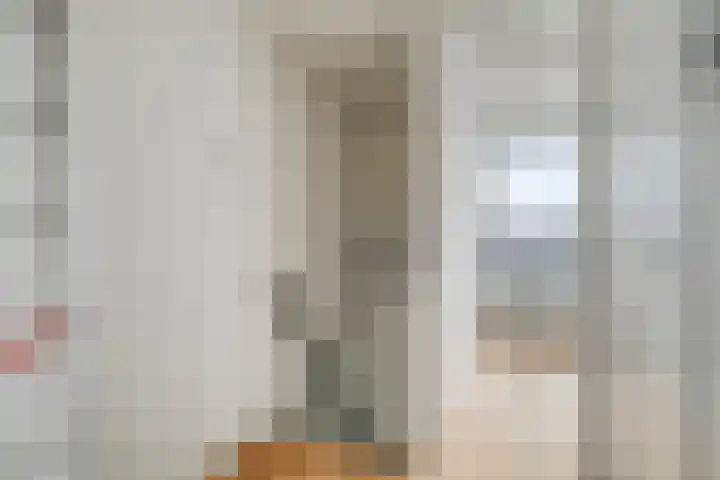 Rembrandtstraat 44 Zoetermeer thumbnail 17