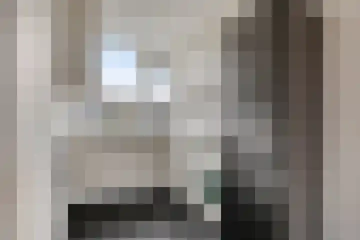 Rembrandtstraat 44 Zoetermeer thumbnail 4
