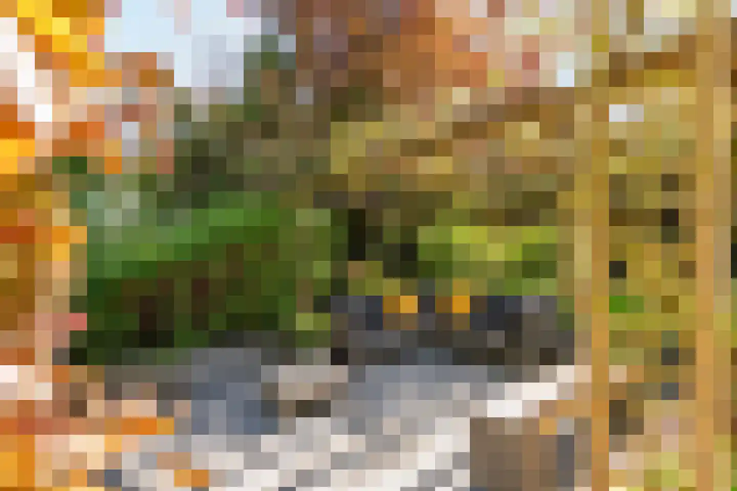 Rembrandtstraat 46 Tiel thumbnail 10