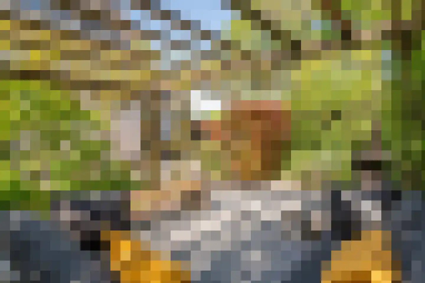 Rembrandtstraat 46 Tiel thumbnail 11