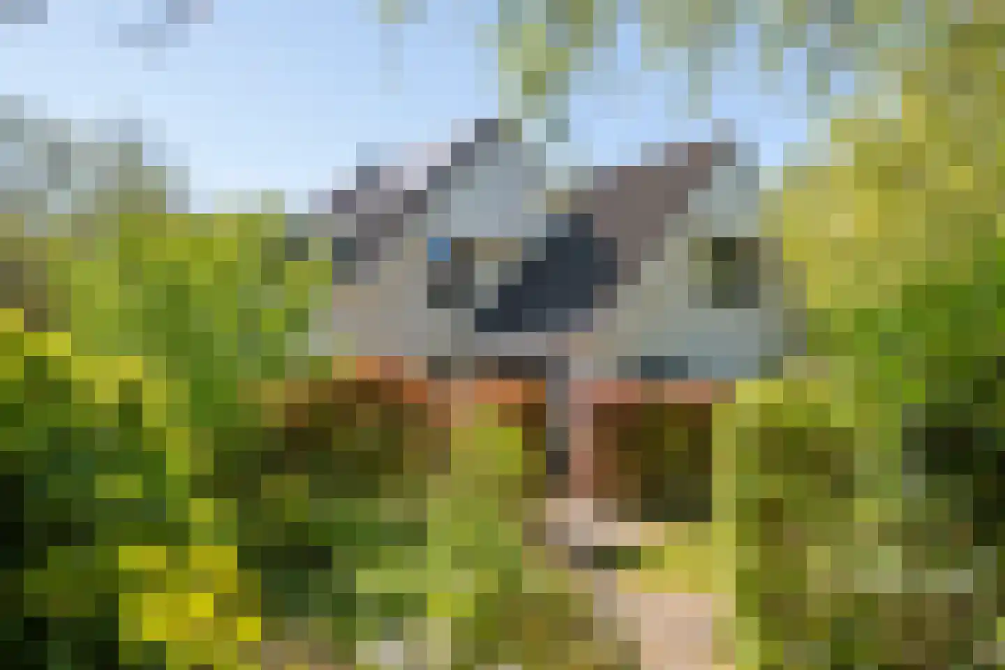 Rembrandtstraat 46 Tiel thumbnail 14