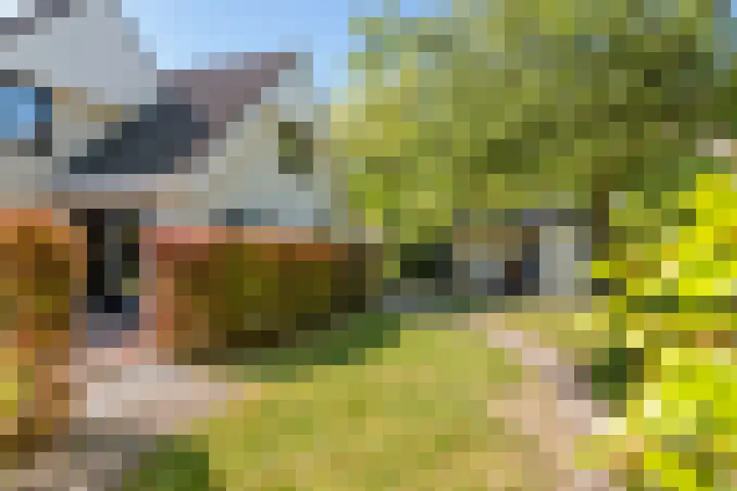 Rembrandtstraat 46 Tiel thumbnail 15