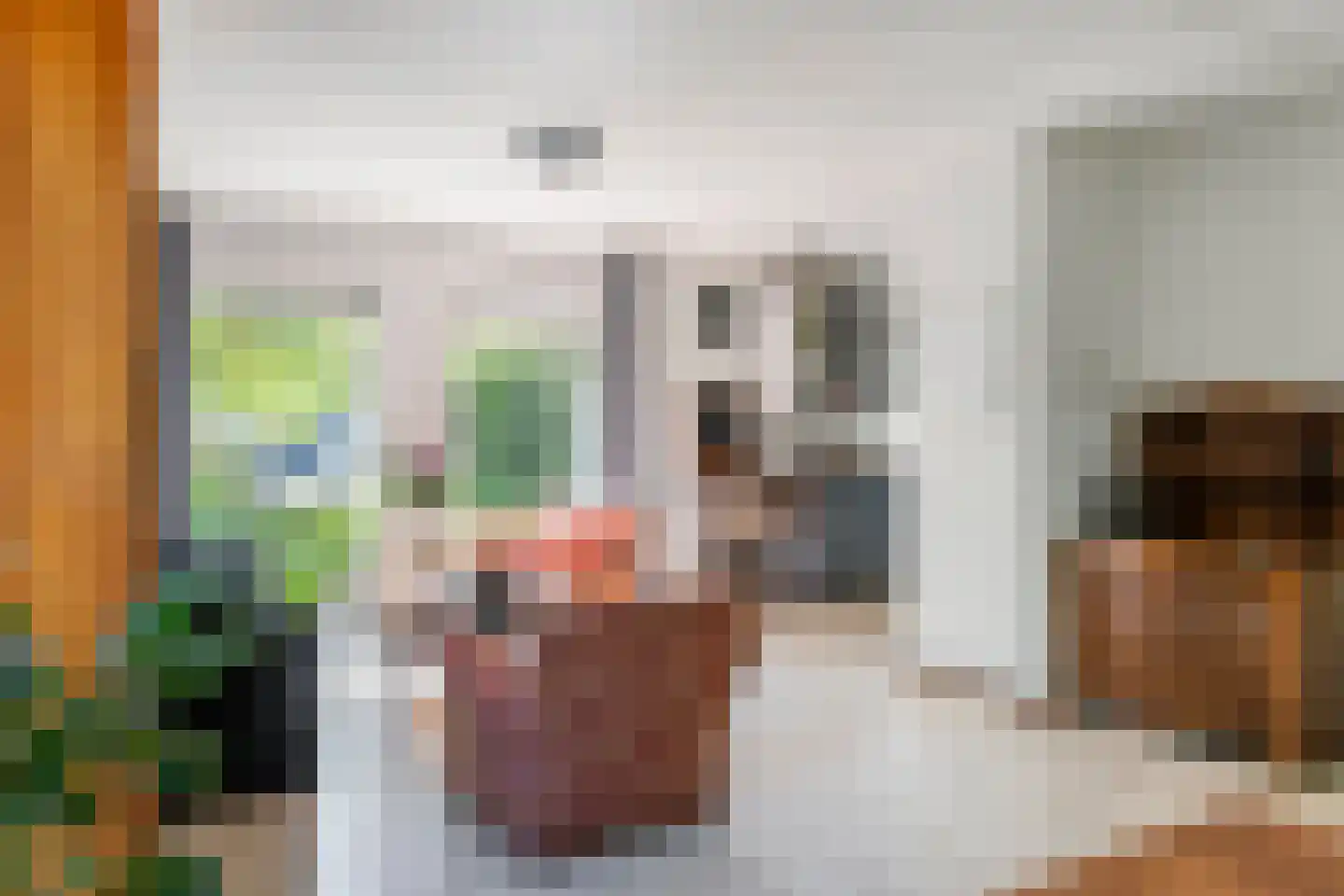 Rembrandtstraat 46 Tiel thumbnail 32