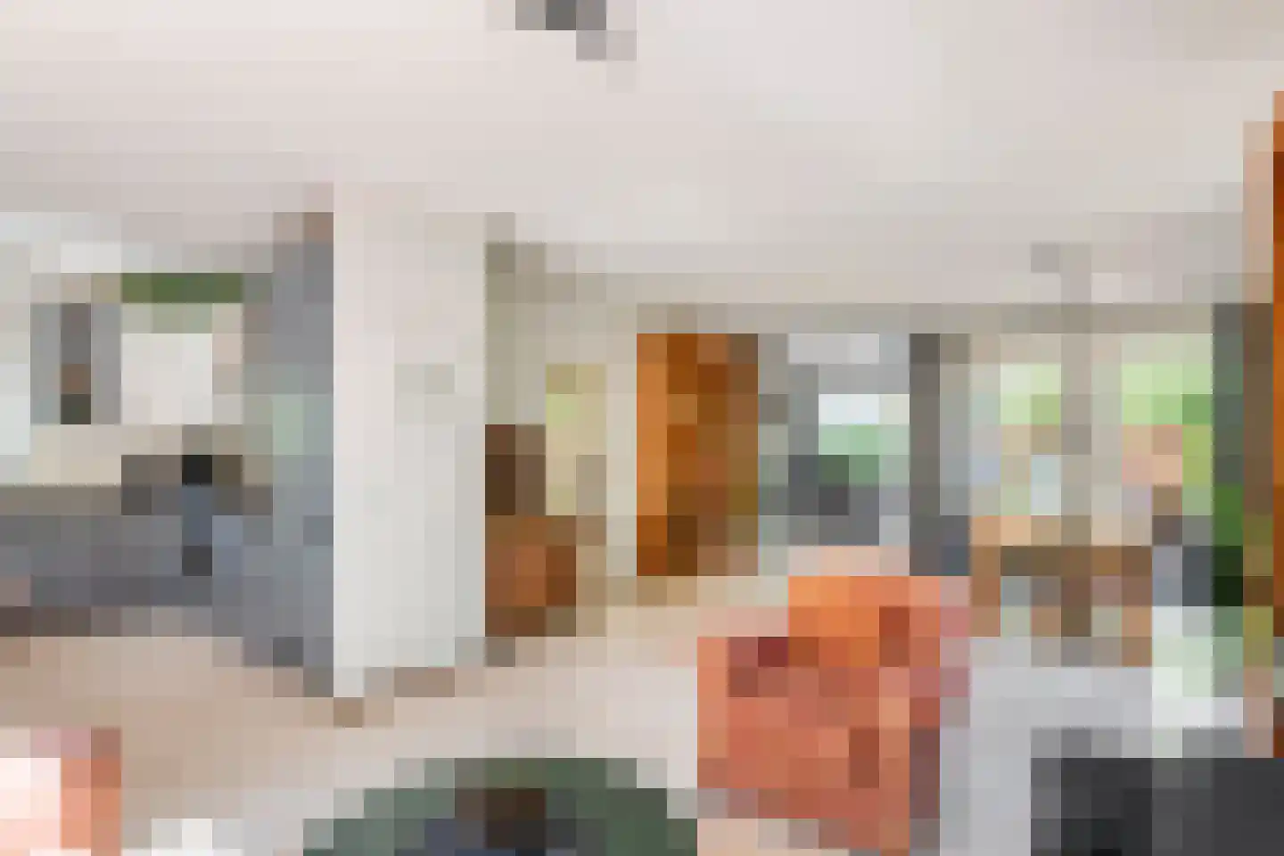 Rembrandtstraat 46 Tiel thumbnail 34