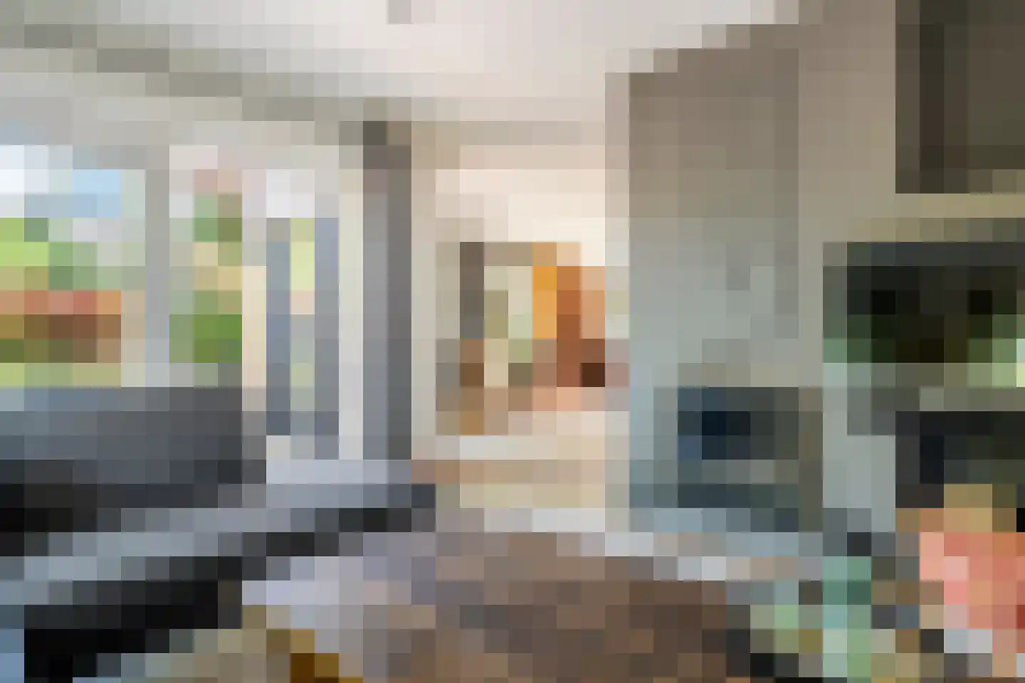 Rembrandtstraat 46 Tiel thumbnail 40