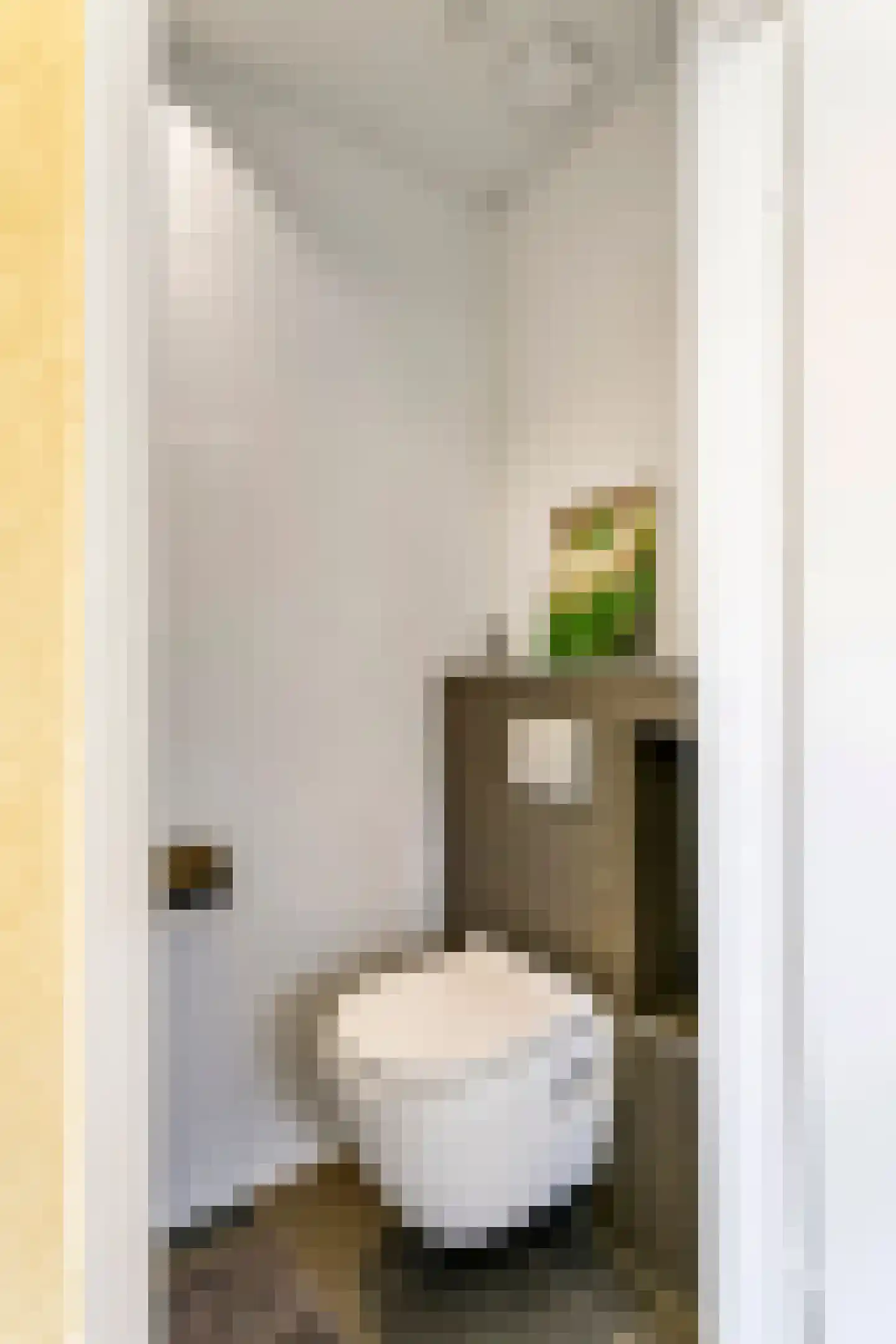 Rembrandtstraat 46 Tiel thumbnail 45