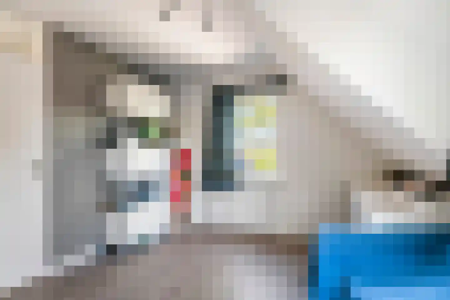 Rembrandtstraat 46 Tiel thumbnail 51