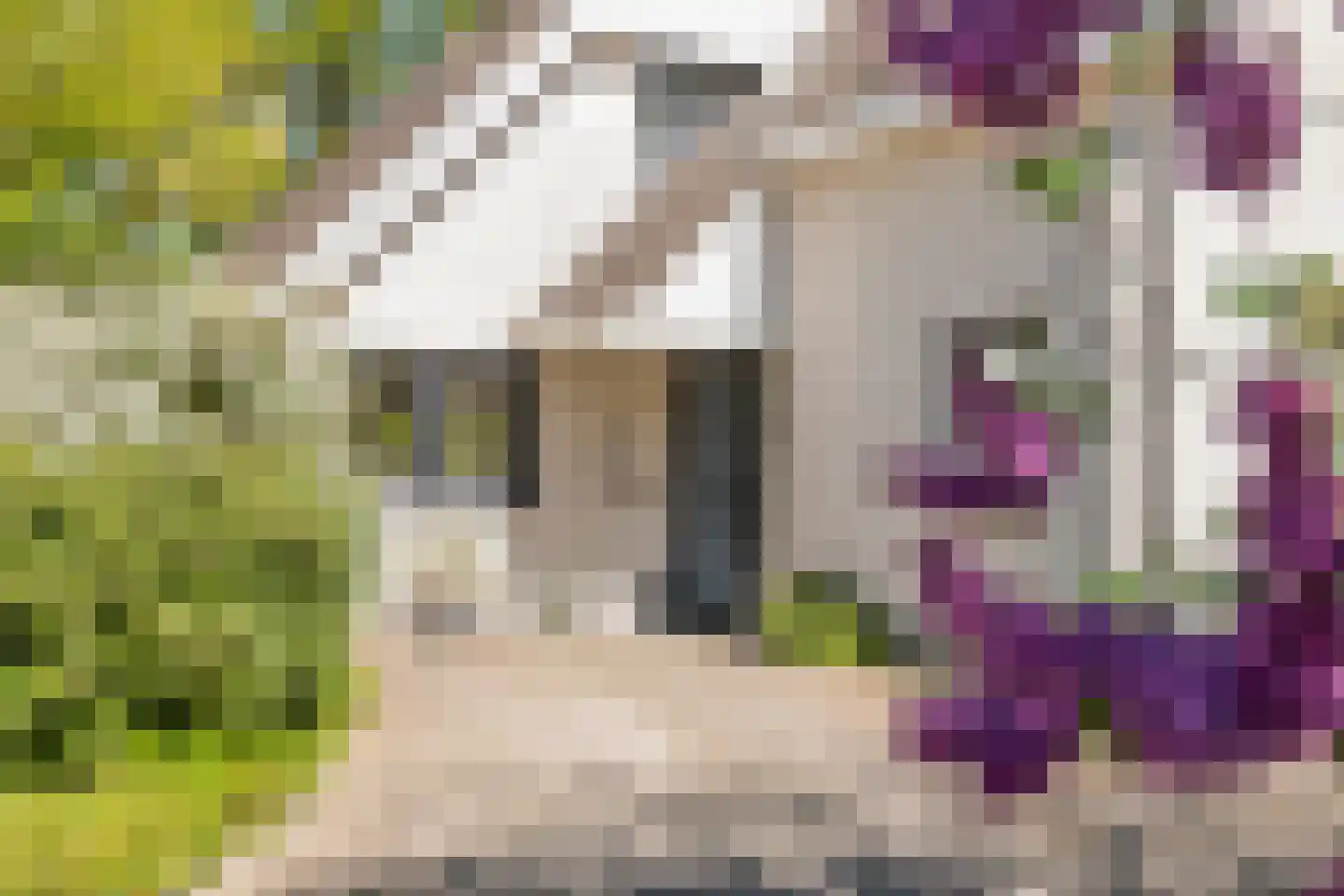 Rembrandtstraat 46 Tiel thumbnail 6
