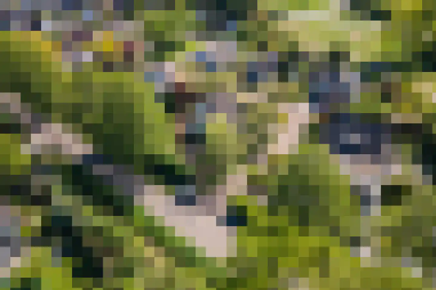 Rembrandtstraat 46 Tiel thumbnail 62
