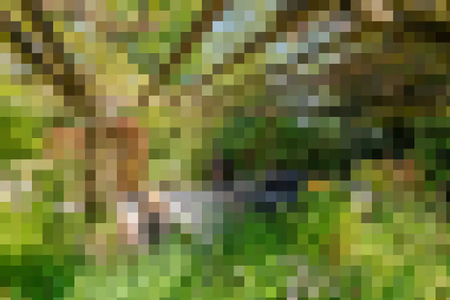 Rembrandtstraat 46 Tiel thumbnail 8