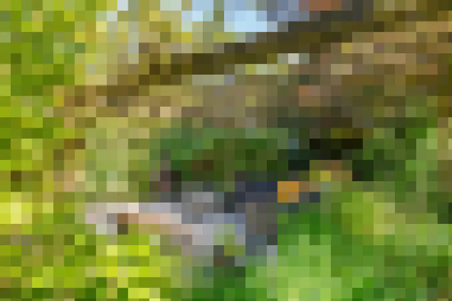 Rembrandtstraat 46 Tiel thumbnail 9
