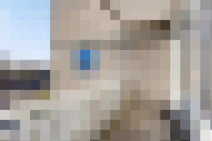 Rembrandtstraat 49 Dongen thumbnail 21