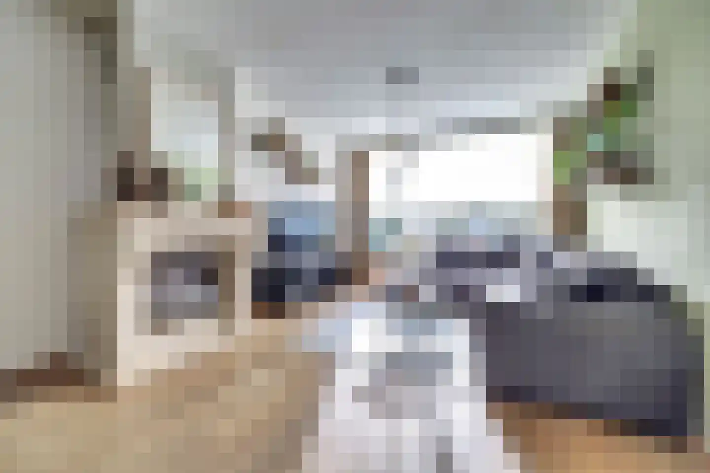 Rembrandtstraat 49 Vlijmen thumbnail 10