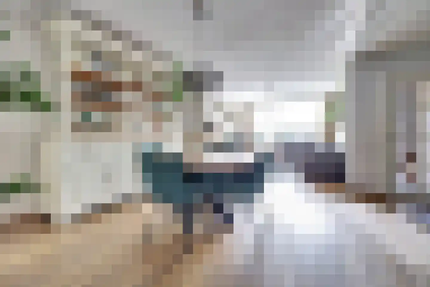 Rembrandtstraat 49 Vlijmen thumbnail 17